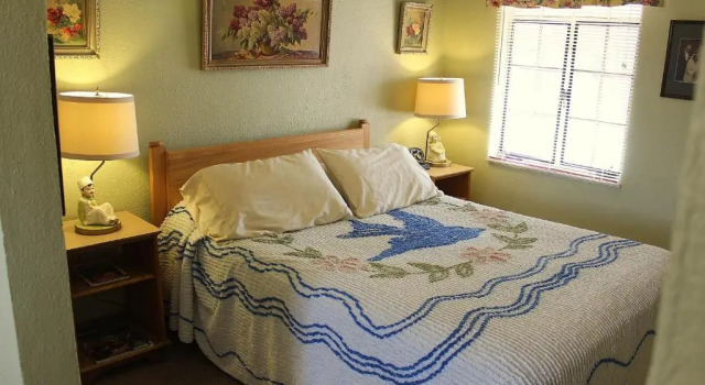 Номер Standard Blue Swallow Motel