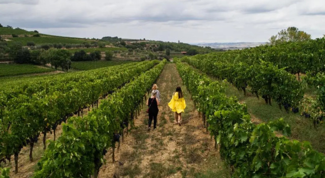 Номер Deluxe Paradiso Di Cacuci - Traditional Tuscan Vineyard & Villa