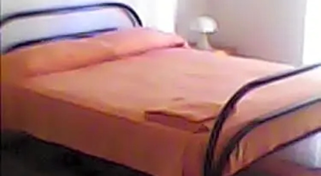 B&B Camelie
