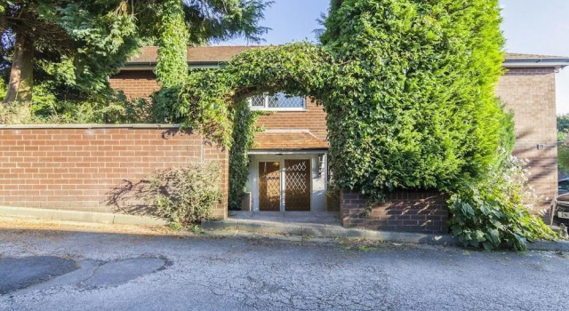 Ivy Guest House