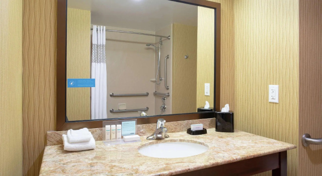Четырёхместный номер Standard Hampton Inn and Suites Denver/South-RidgeGate