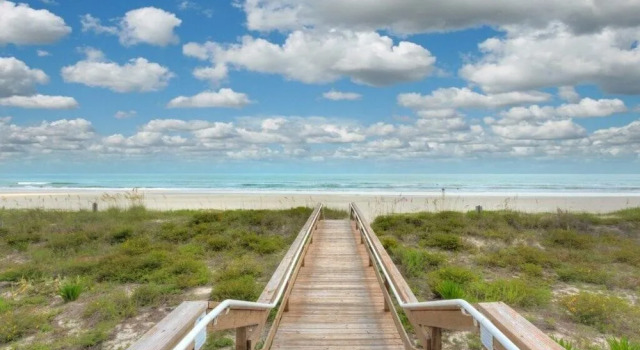 Good Times & Tan Lines Oceanview Condo Pet Friendly