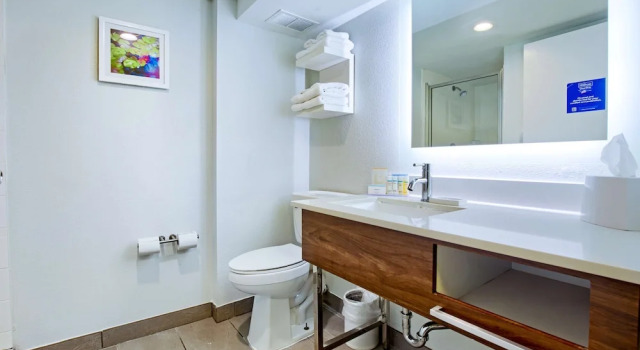 Двухместный люкс Hampton Inn Slidell