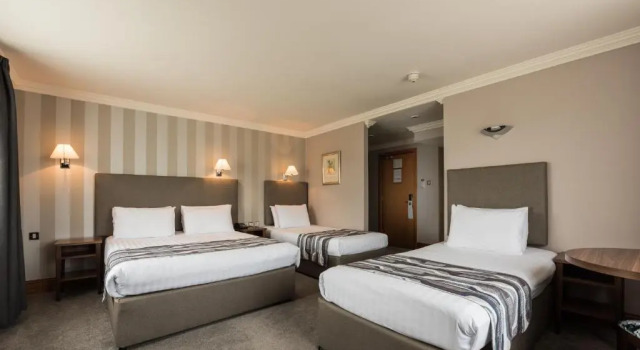 Трёхместный номер Standard Springfield Hotel