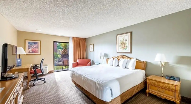 Номер Standard LOGE St. George