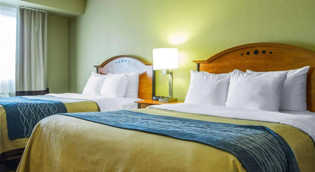 Четырёхместный номер Standard Comfort Inn