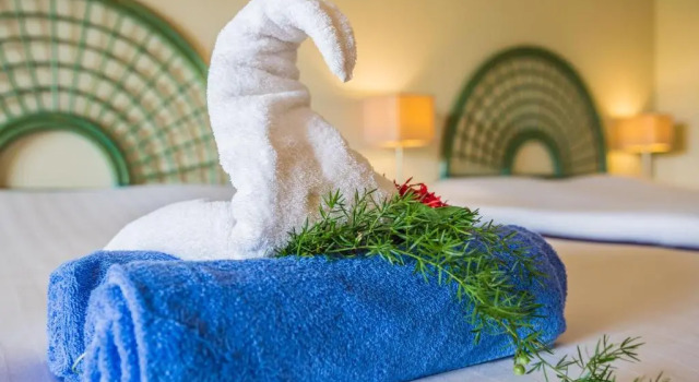 Полулюкс с видом на бассейн Van der Valk Plaza Resort Bonaire - All Inclusive