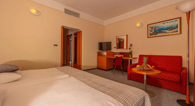 Двухместный номер Standard с балконом и с видом на парк Hotel Marina