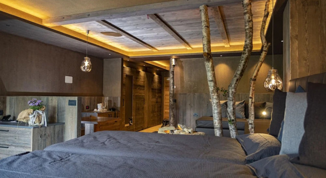 Полулюкс Deluxe Betulla La Roccia Wellness Hotel