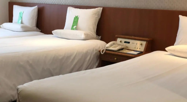 Трёхместный номер Standard International Garden Hotel Narita