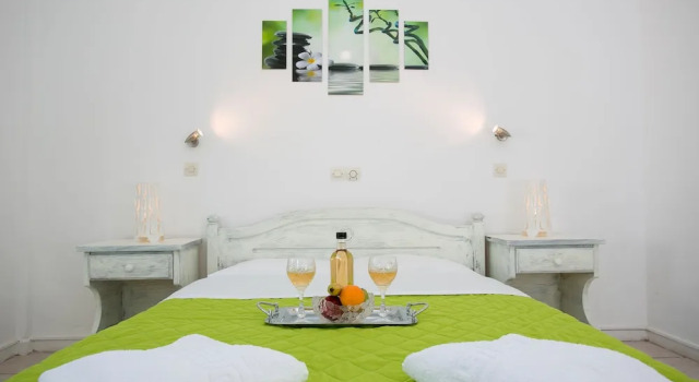 Номер Standard с балконом и с видом на сад Hotel Stella