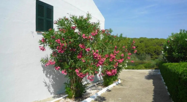 Вилла Villa Ferrer
