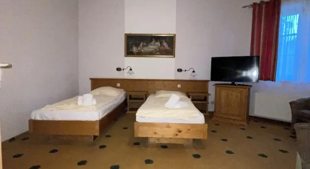 Номер Premium Müritz Landhotel Grüner Baum