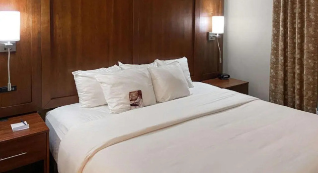 Suite Comfort Suites Gallup