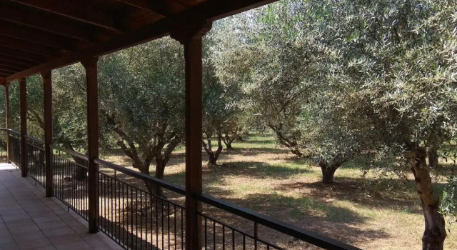 Коттедж с 2 комнатами Mallios Home FLOKA close to Ancient Olympia