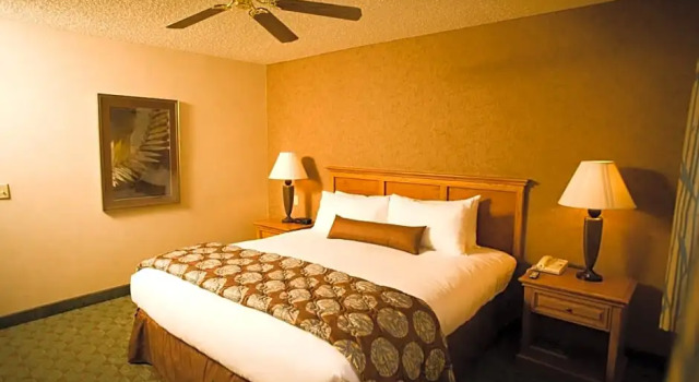 Двухместный номер Standard Borrego Springs Resort