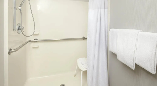 Люкс Courtyard by Marriott Detroit Brighton