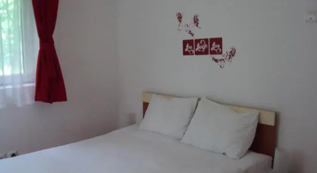 Apartment Luxor Busteni
