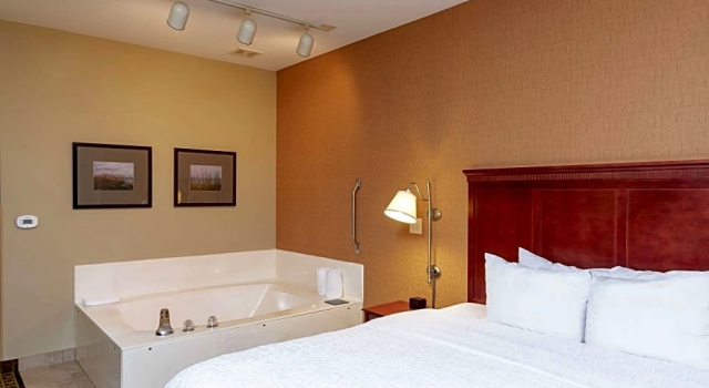 Одноместный люкс Hampton Inn & Suites Valparaiso