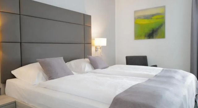 Двухместный номер Comfort Hotel Trapp