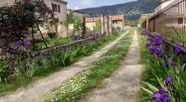 Люкс Relais de Laval