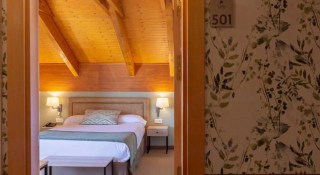 Одноместный номер Standard Hotel & Spa Real Jaca