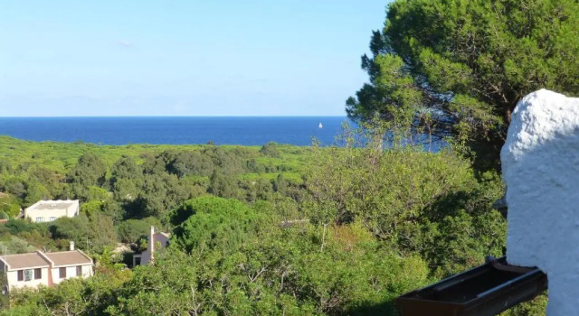Graziosa casa immersa nel verde