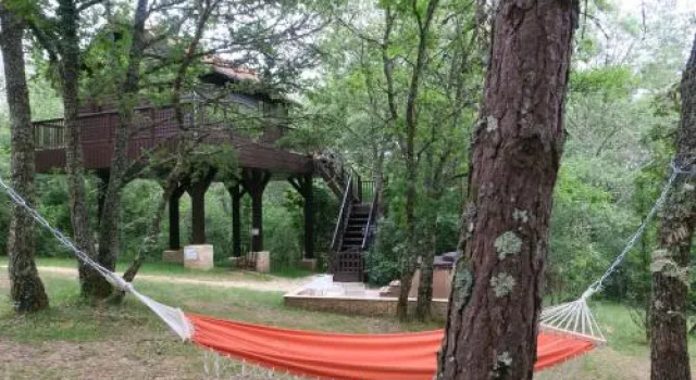 Cabane Rouge-Gorge