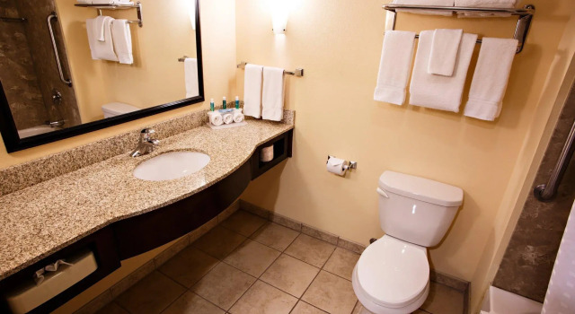 Четырёхместный номер Standard Holiday Inn Express & Suites Harrisburg West