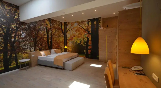 Семейный номер Superior Hotel Emonec