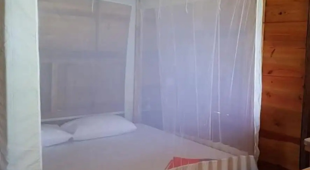Номер Economy Albero Cabanas