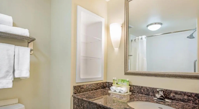 Четырёхместный номер Standard Holiday Inn Express Hotel & Suites Clute-Lake Jackson by IHG