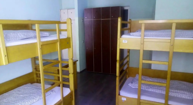 Кровать в общем номере Treestyle Hostel