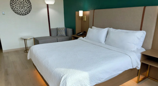 Двухместный номер Mid Floor Premium with stadium view Holiday Inn Houston S - NRG Area - Med Ctr by IHG