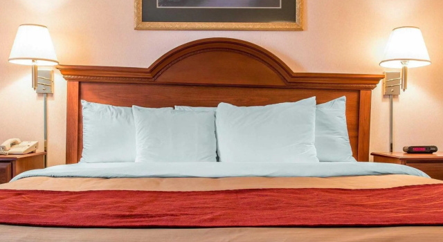 Номер Standard Comfort Inn Farmington Hills - Novi-Royal oaks-Southfield-Detroit Northwest