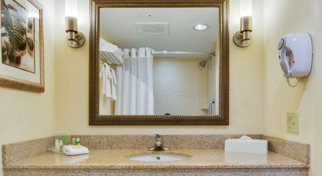 Двухместный номер Executive Holiday Inn Statesboro-University Area by IHG