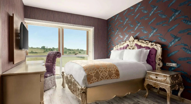 Двухместный люкс Premium Wyndham Cerkezkoy