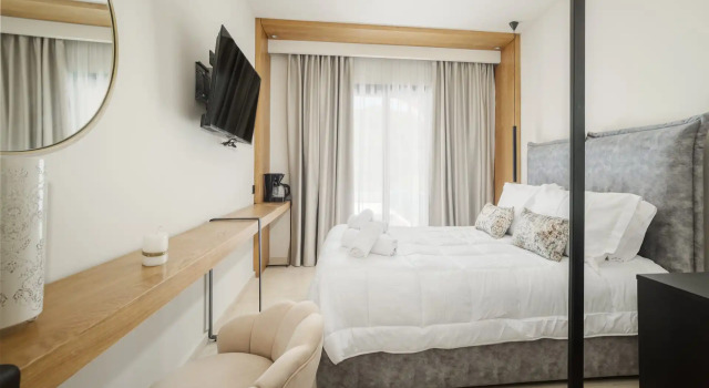 Двухместный номер Superior с видом на бассейн Nikon Boutique Hotel