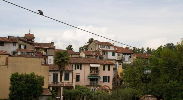 La Gemma di Elena