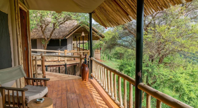 Номер Standard Ngorongoro Forest Tented Lodge