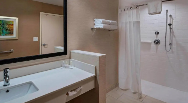 Номер Standard Fairfield Inn & Suites by Marriott Atlanta Peachtree City