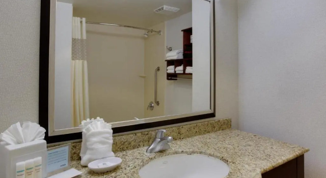 Номер Standard Hampton Inn by Hilton Garden City Long Island