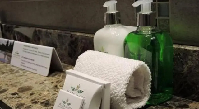 Номер Standard Hotel Plaza Suites