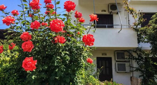 Vasilikos Apartments, Забронировать Апартаменты/квартира Апартаменты Паралии Агиа Фотини, Апартаменты/квартира