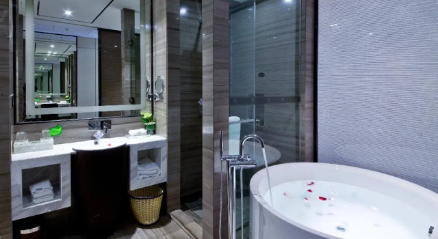 Одноместный номер Superior Palm Spring Hotel