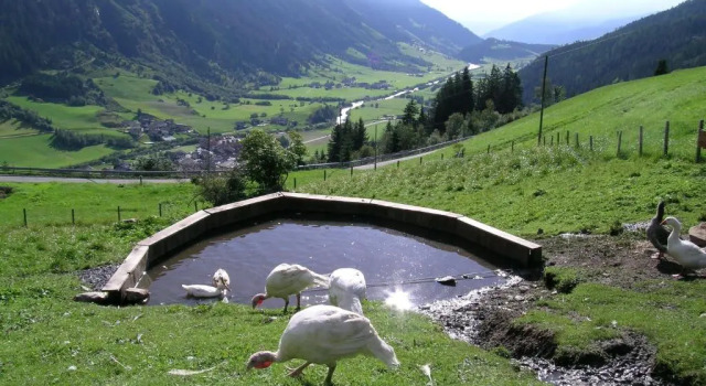 Joglerhof