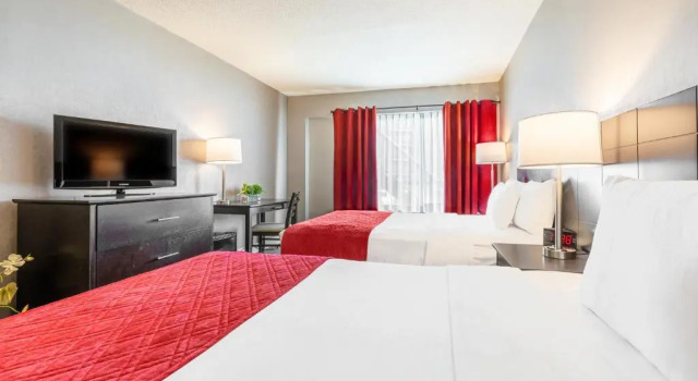 Четырёхместный номер Standard Hotel Universel