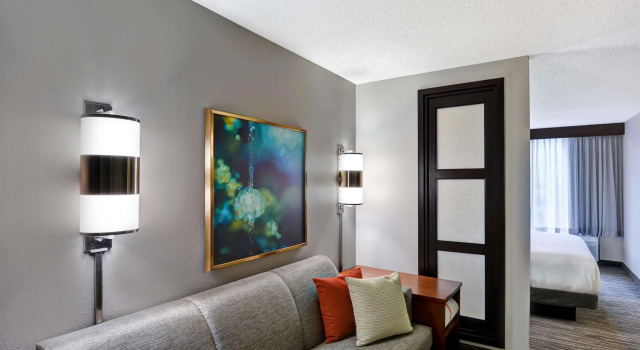 Двухместный номер Standard Hyatt Place Birmingham/Hoover
