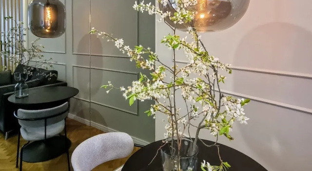 Люкс Deluxe MINT Boutique Studio Apartments