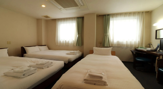 Трёхместный номер Standard Hotel Green Arbor